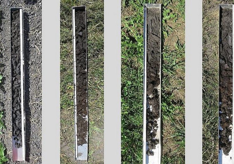Vorstudie Sanierung Überdeckung Gasleitung Siselen / Walperswil