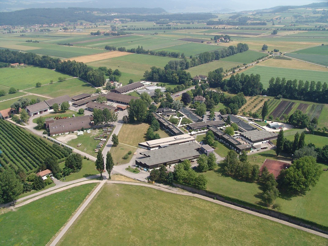 Bächtold und Moor Strafanstalt Witzwil Bächtold und Moor